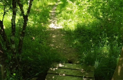 Puyguilhem House | House or room close to plum village Upper Hamletnn