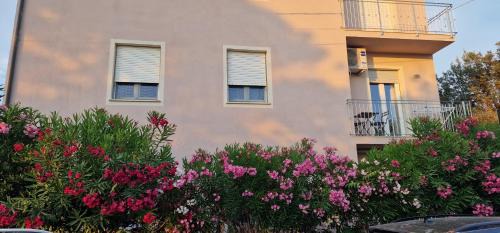 Marina di Pisa Apartment | House Orilia in the green and by the sea