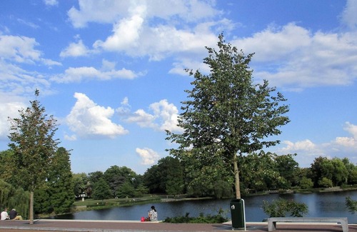 Brunssum House | House rumpen 7 Bedrooms 10 pers Warm+cold Water-Wifi