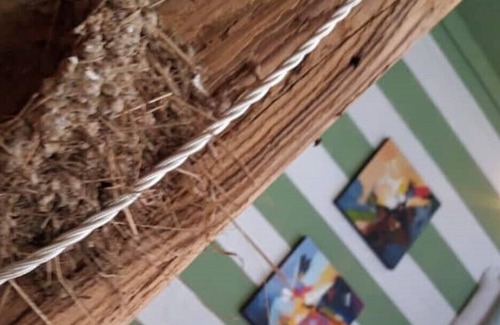 Santa Maria del Giudice House | House surrounded by greenery and in absolute tranquility