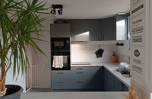 Talmont-Saint-Hilaire House | House Townhouse with terrace and enclosed garden near town center