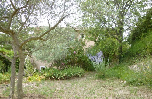 Malemort-du-Comtat House | house/villa - Malemort du comtat