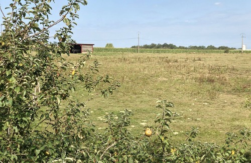 Lahosse House | House/Villa - Lahosse