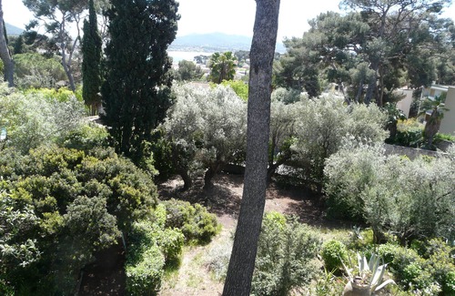 Sanary-sur-Mer House | House/Villa - SANARY SUR MERHouse with character