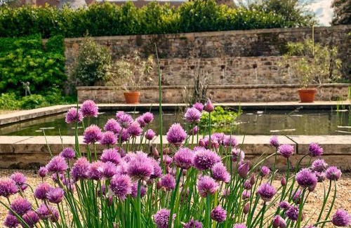 Saint-Pierre-de-Frugie House | House with a private hot tub and medieval garden