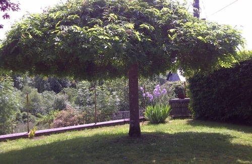 Planchez House | House with garden in the heart of Morvan, Burgondy