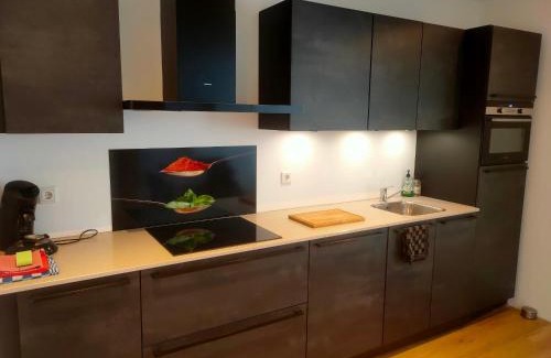 Beverwijk House | House with garden in the center close to the sea and Amsterdam