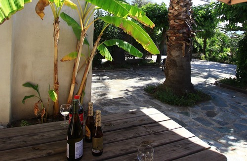 Ajaccio House | House with pool and garden