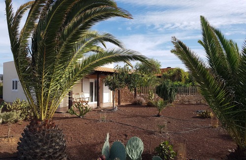 Antigua House | House with pool between gardens and olive farm.