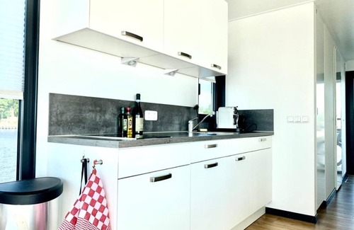 Offingawier Boat Rental | Houseboat Sneekermeer with Sun Deck