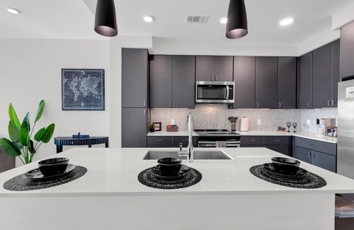 Texas Medical Center Apartment | HoustonLuxe Penthouse Highrise