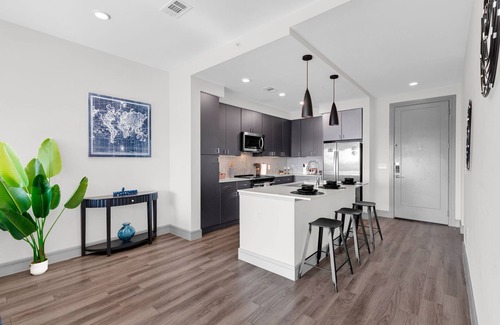 Texas Medical Center Apartment | HoustonLuxe Penthouse Highrise