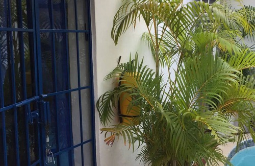 Cartagena Walled City Cabin | Hpt-sc2 Hotel Room In Getsemani With Pool, Breakfast And Wifi