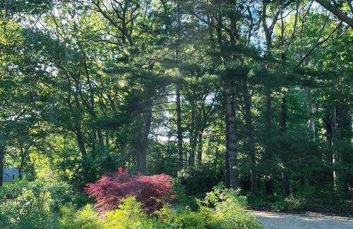 East Hampton North House | Huge pool, 4b,3.5b, outdoor shower, 2mi to beach, 1Gig wifi