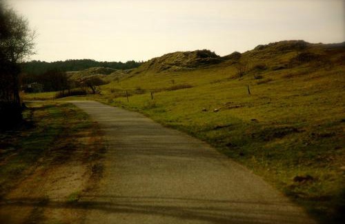 Municipality of Terschelling Apartment | Huisje Egypte op Terschelling