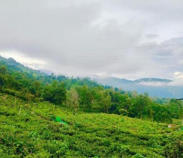 Kotagiri Hotel | Humming Bird By Brown Tree Resorts