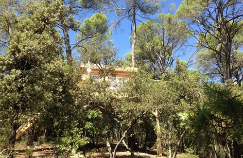 Barjols Cabin | Hut perched in the trees