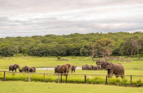 Dete Cabin | Hwange Safari Lodge