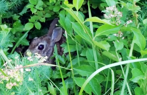 Hyannis Port House | Hyannis Port by the Sea!