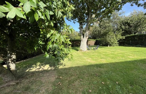 Saint-Leonard House | Hydrangeas - ST LEONARD