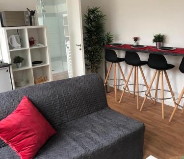 Centre Ancien Apartment | HYPER CENTRE - WIFI FIBRE GRATUIT - JERGWELOH - Le Parisien