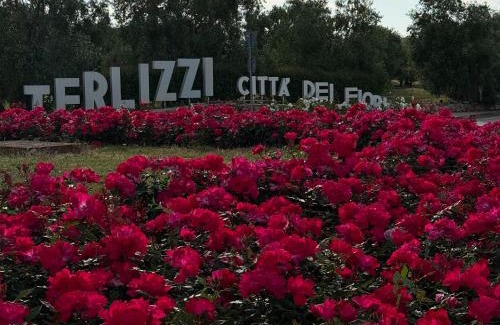 Terlizzi House | I CAVALIERI