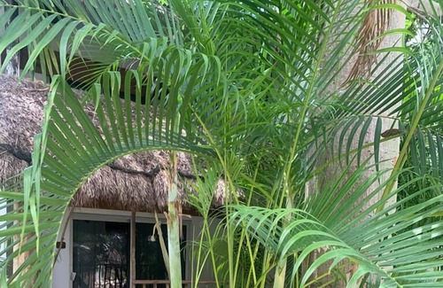 La Veleta Hotel | Icástico Tulum
