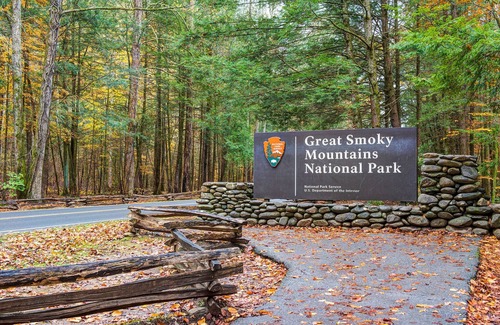 Black Bear Falls Cabin | Idle Days by Jackson Mountain Rentals