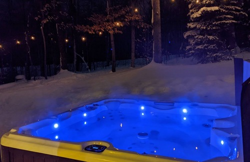 Boyne City House | Idlewood Cabin: True Ski-in/out house w/hot tub, Pet Friendly!