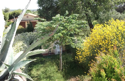 Suvereto Apartment | Idyllic apartment for 2 in Maremma/Tuscany.