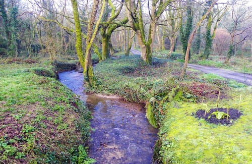 Castallack Cottage | Idyllic cottage in beautiful Lamorna valley - walking distance to sea and pub!
