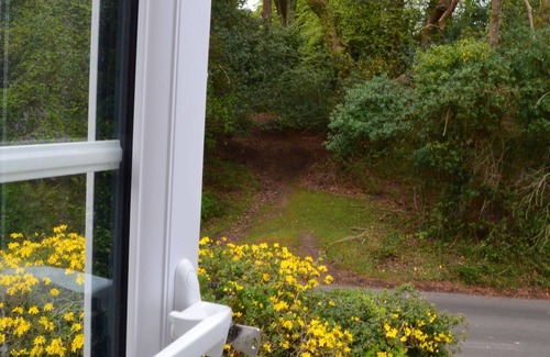 New Forest District House | Idyllic New Forest Country Cottage