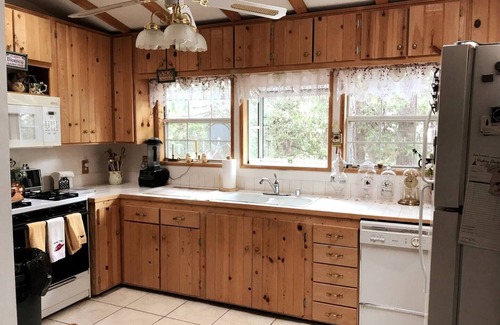 Idyllwild House | Idyllwild-PineCove - Quiet Home with Forest access