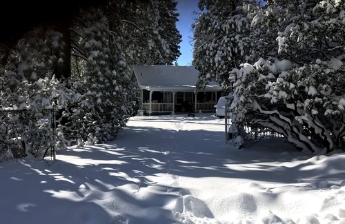 Idyllwild House | Idyllwild-PineCove - Quiet Home with Forest access