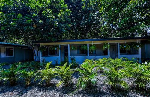 Puerto Viejo de Talamanca Cabin | Iguana Lodge