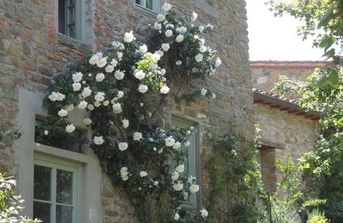 Poggio Alla Croce House | Il Bracconiere, luxury in Chianti - Wifi, swimming pool, parking