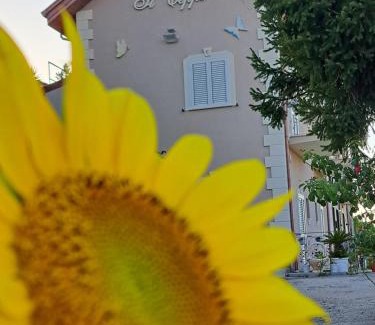 Piazza-Tralia-Pendolo Bed & Breakfast | IL CEPPO sui sentieri per Amalfi