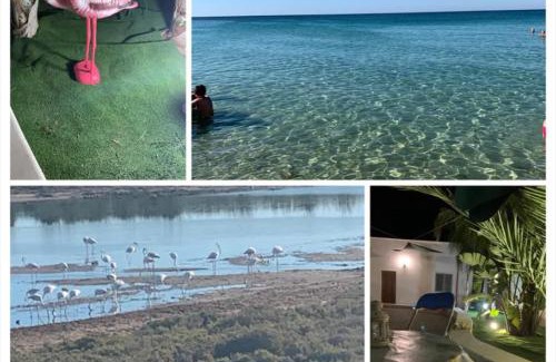 Specchiarica House | Il Fenicottero