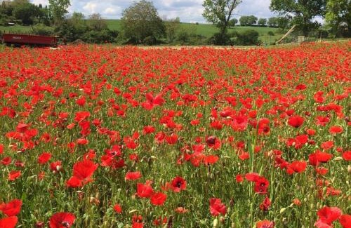 Poggiarello Apartment | Il Fienile