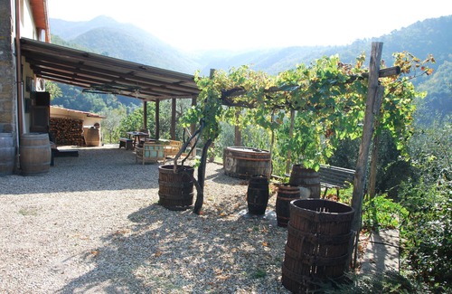 Bivio Pozzo House | Il Frantoio - Tuscan Loft between Nature and Relaxation, Private Garden & BBQ