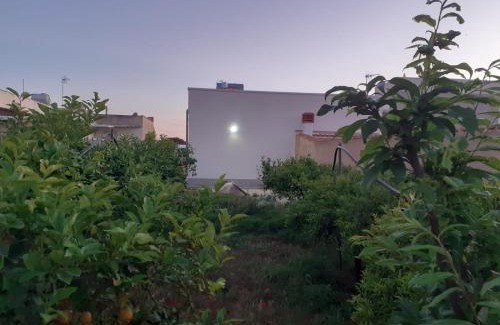 Marsala House | Il Giardino di Anna