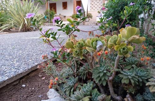 Torre dell'Orso House | il giardino di Sofia Charm and Comfort Apartment