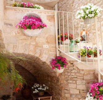 Casamassima House | Il Grottino