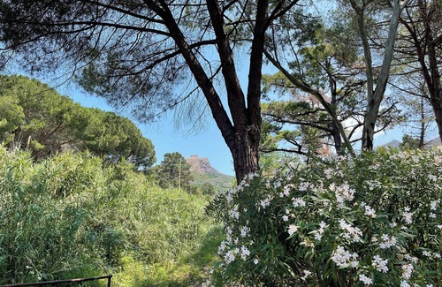 Magazzini Villa | Il Molino – A Historic Watermill Retreat on Elba Island