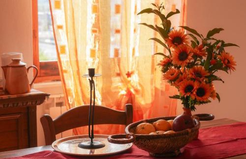 Santo Stefano di Magra Apartment | Il Nido di Erin