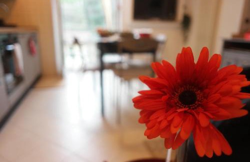 La Spezia Apartment | Il Nido di Marirò