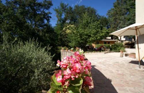 Bosco Bed & Breakfast | Il Querceto