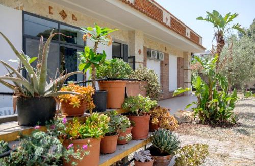 Santa Teresa di Riva Bed & Breakfast | IL VIVAIO Bed and Breakfast