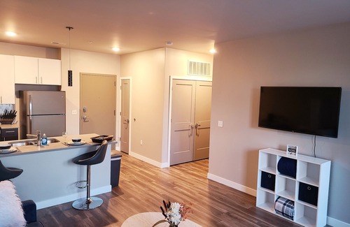 Soulard Apartment | Immaculate Luxury Suite 119- Queen