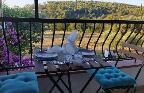 Callas House | In a quiet setting, single-storey house overlooking the lush greenery of the Var.